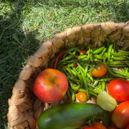 Farmers market season is here, Portland!