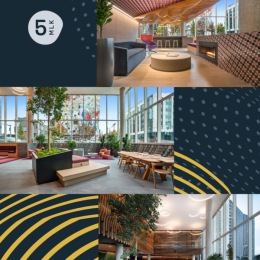 Step into light, greenery, and intentional design.